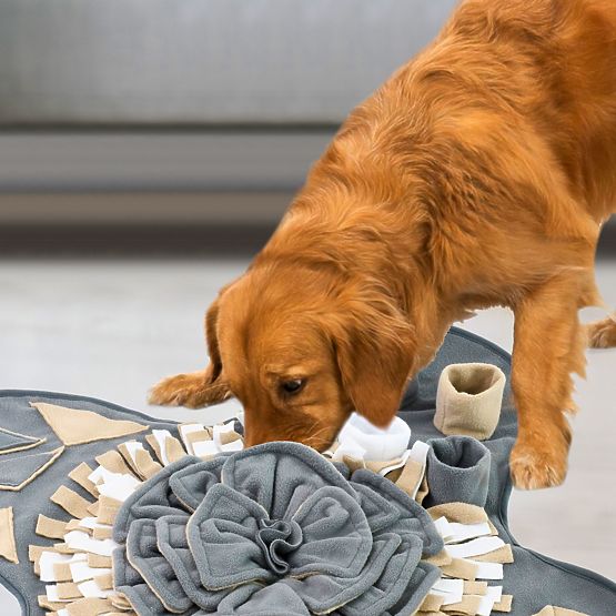 VOHALNA PODLOGA ZA PSA PJ-028