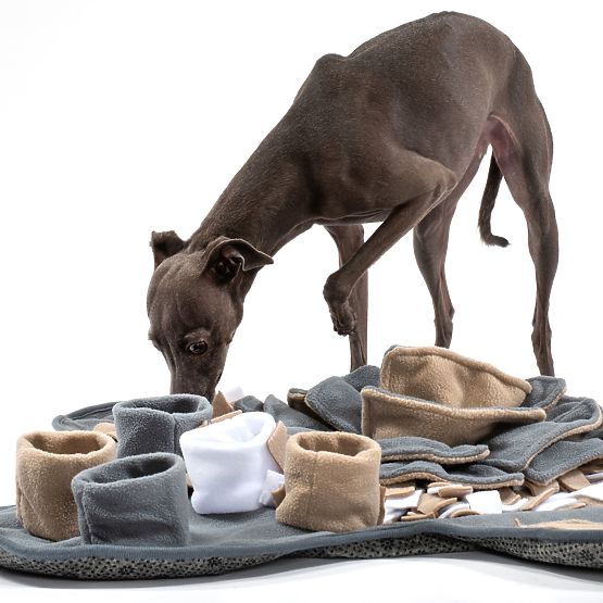 VOHALNA PODLOGA ZA PSA PJ-028