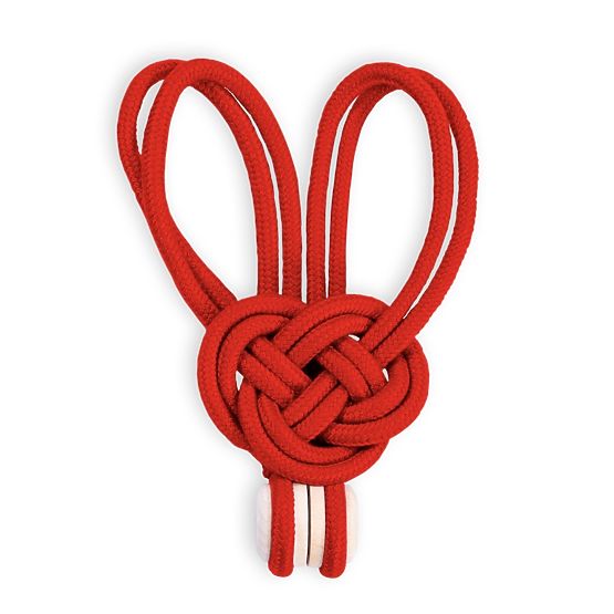 Zavese - dodatki EDMONTON barva rdeča ameliahome