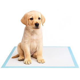 Higienski vložki za živali BARRY 60x90 50 kos