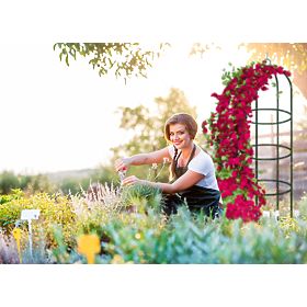 Kovinska pergola steber temno zelena 190 cm