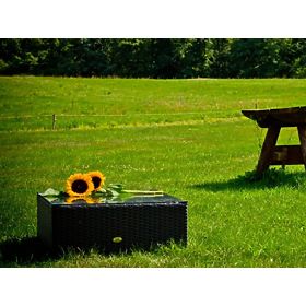 Kvadratna miza iz črnega tehno ratana