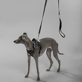 Povodec in oprsnica za psa PJ-055 črna M, PuppyJoy