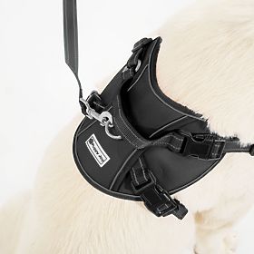 Povodec in oprsnica za psa PJ-059 črna L, PuppyJoy