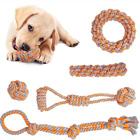 Set vlečnih igrač za pse SPANKY 5 kosov