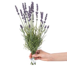 Umetni cvet LAVI vijolična barva boho stil ameliahome